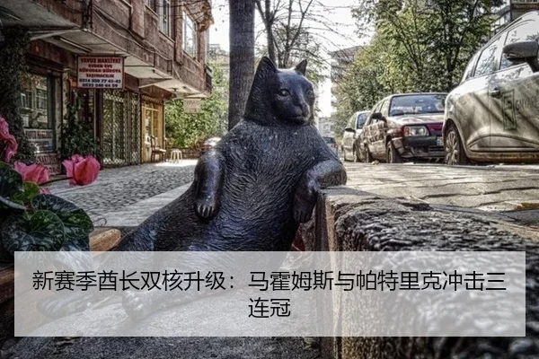 新赛季酋长双核升级：马霍姆斯与帕特里克冲击三连冠